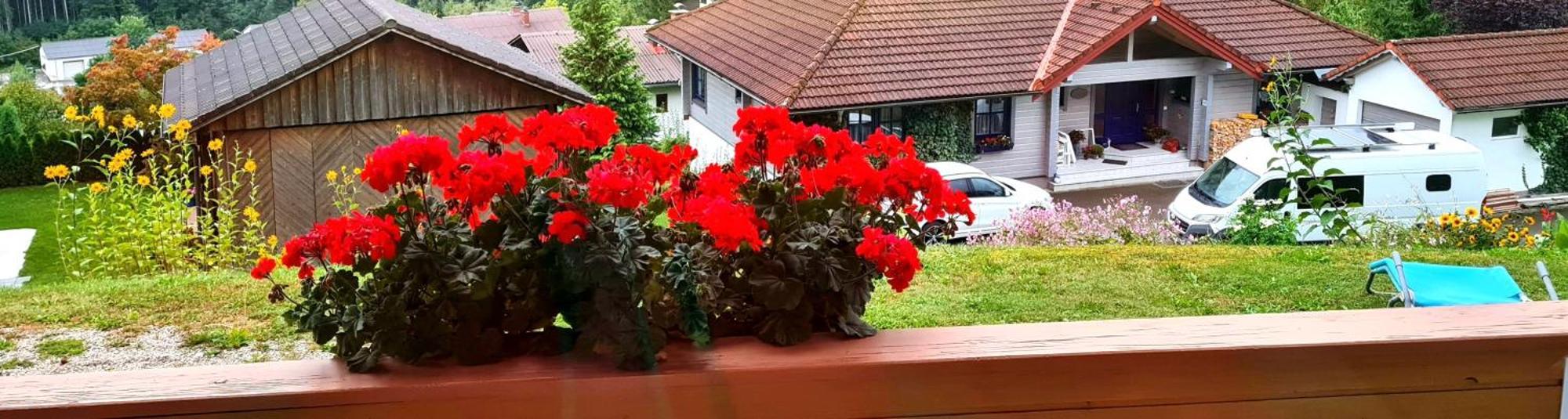 Haus Loeger Apartments Pyhrn Priel Windischgarsten Zewnętrze zdjęcie